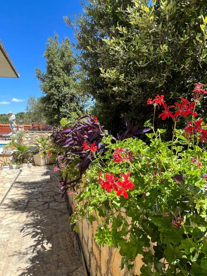 Apartman Gorana With Swimming Pool Jelsa  Exteriér fotografie