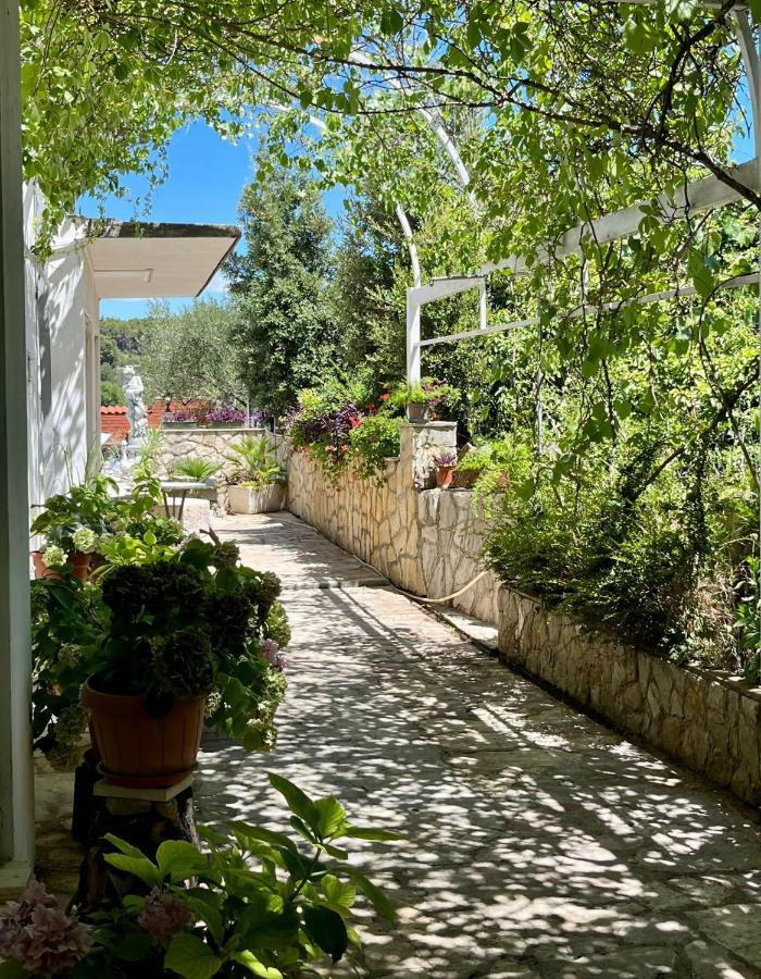 Apartman Gorana With Swimming Pool Jelsa  Exteriér fotografie
